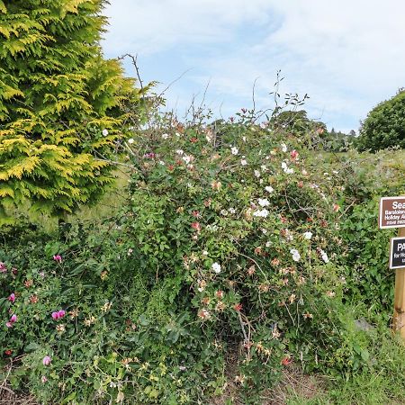 Seaview-Barsloisnach Cottage Kilmartin ภายนอก รูปภาพ